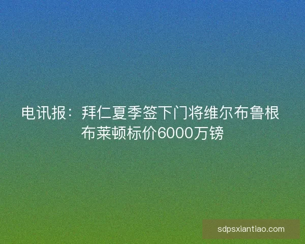 电讯报：拜仁夏季签下门将维尔布鲁根 布莱顿标价6000万镑