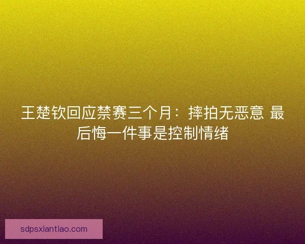 王楚钦回应禁赛三个月：摔拍无恶意 最后悔一件事是控制情绪