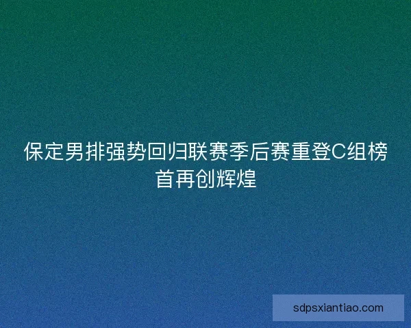 保定男排强势回归联赛季后赛重登C组榜首再创辉煌