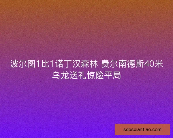波尔图1比1诺丁汉森林 费尔南德斯40米乌龙送礼惊险平局