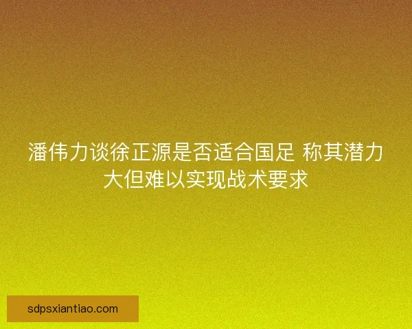 潘伟力谈徐正源是否适合国足 称其潜力大但难以实现战术要求