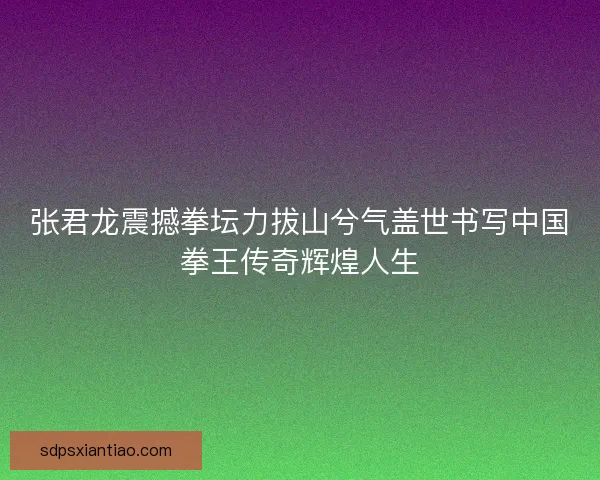 张君龙震撼拳坛力拔山兮气盖世书写中国拳王传奇辉煌人生